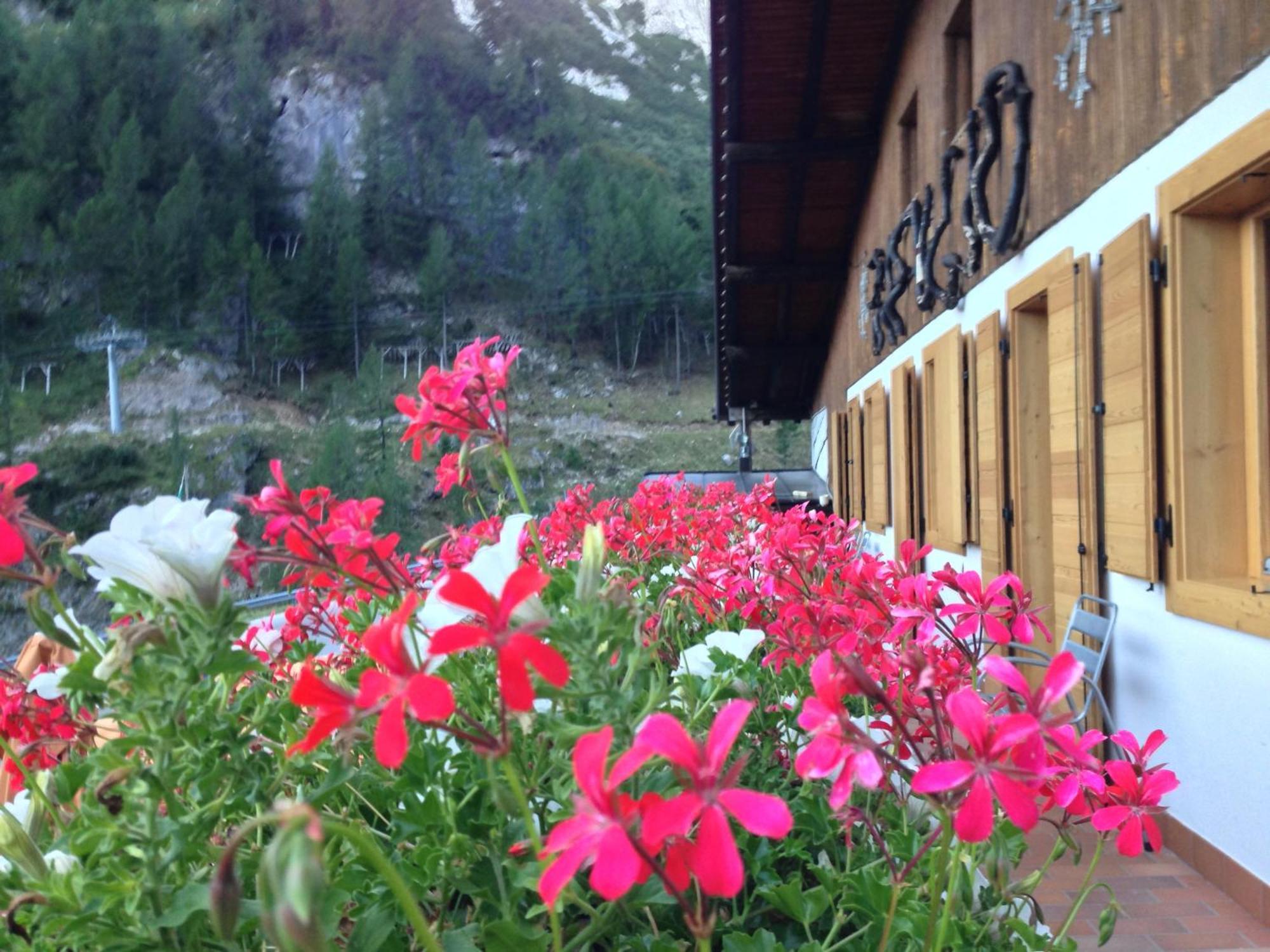 Hotel Rifugio Capanna Bill à Rocca Pietore Extérieur photo